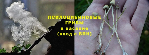 гидропоника Абдулино
