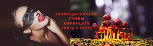 гидропоника Абаза